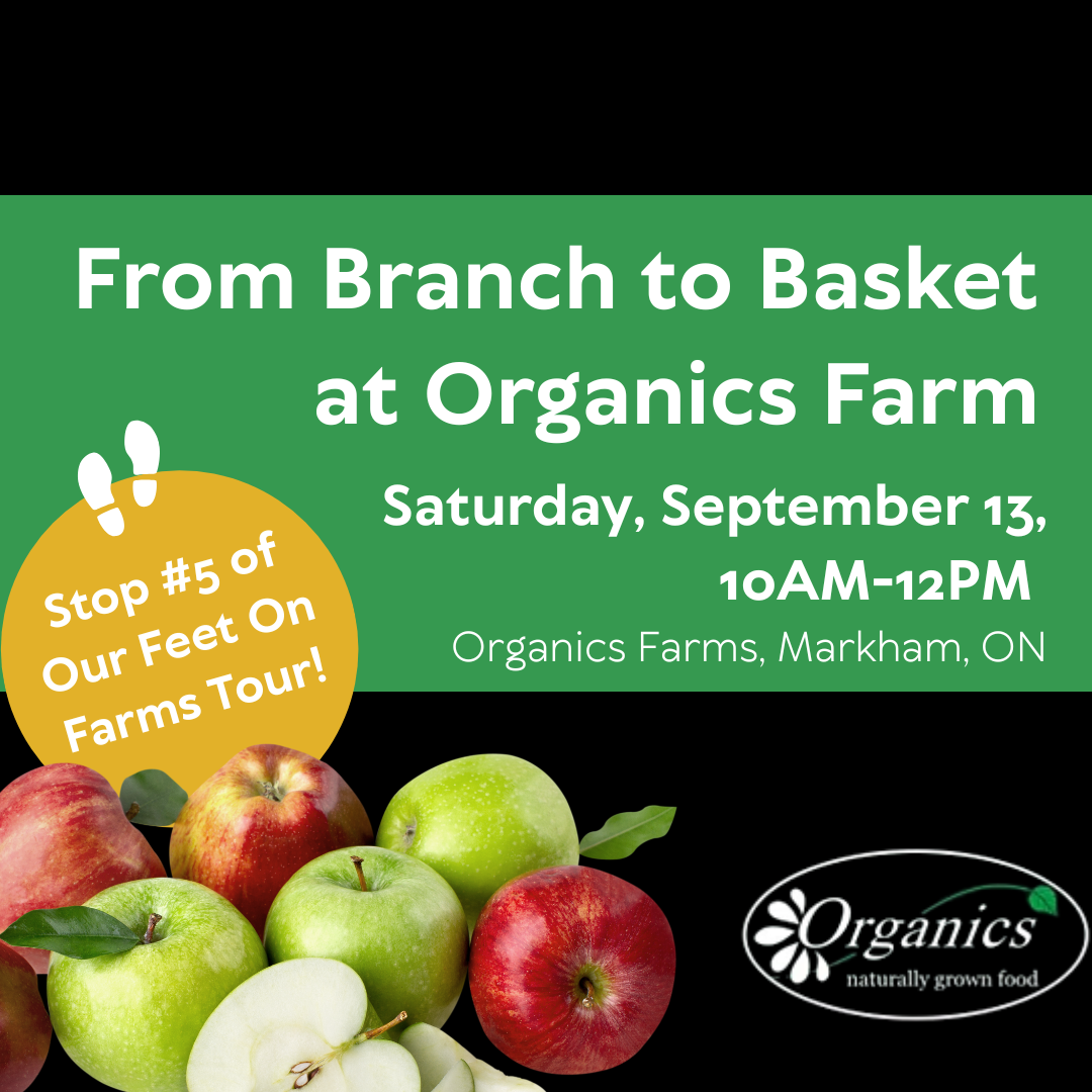 From Branch to Basket at Organics Farm