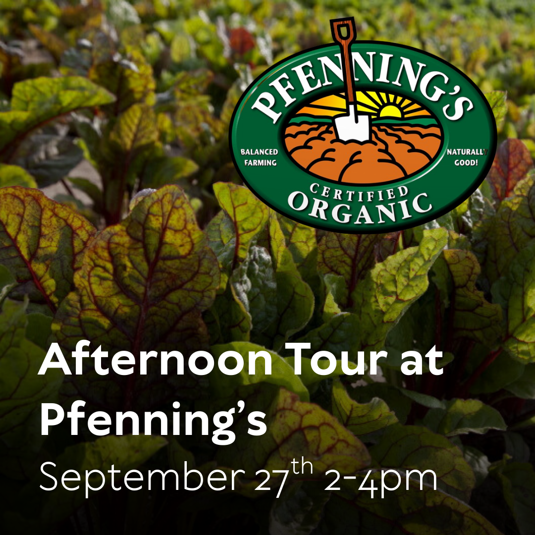 An Afternoon Wagon Tour at Pfenning's
