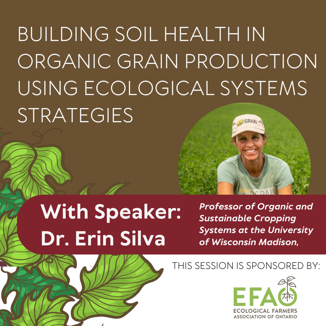 Building Soil Health in Organic Grain Production using Ecological Systems Strategies