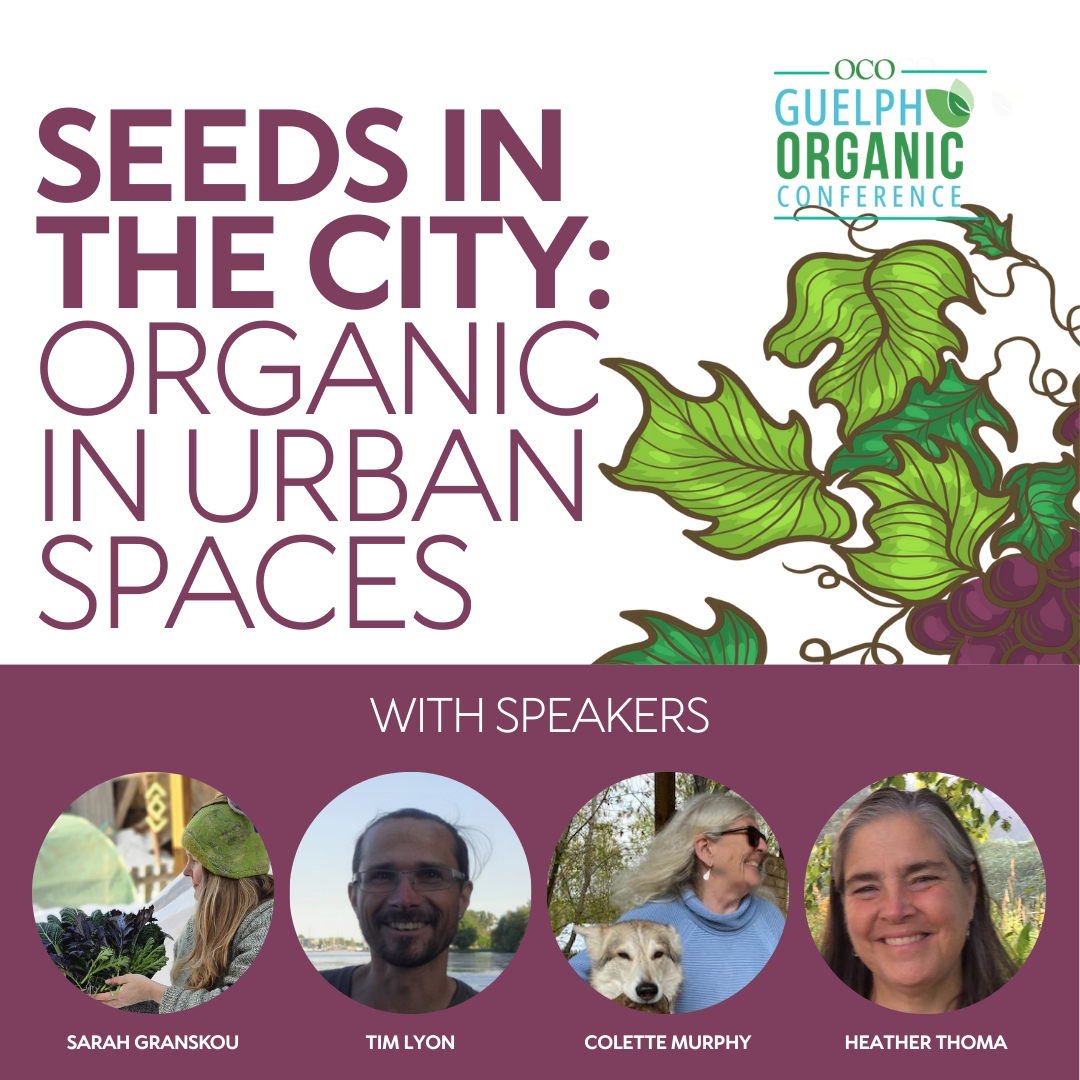 Seeds in the City: Organic in Urban Spaces