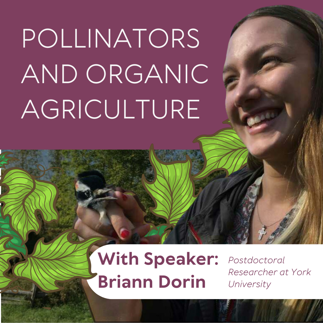 Pollinators and Organic Agriculture with Briann Dorin