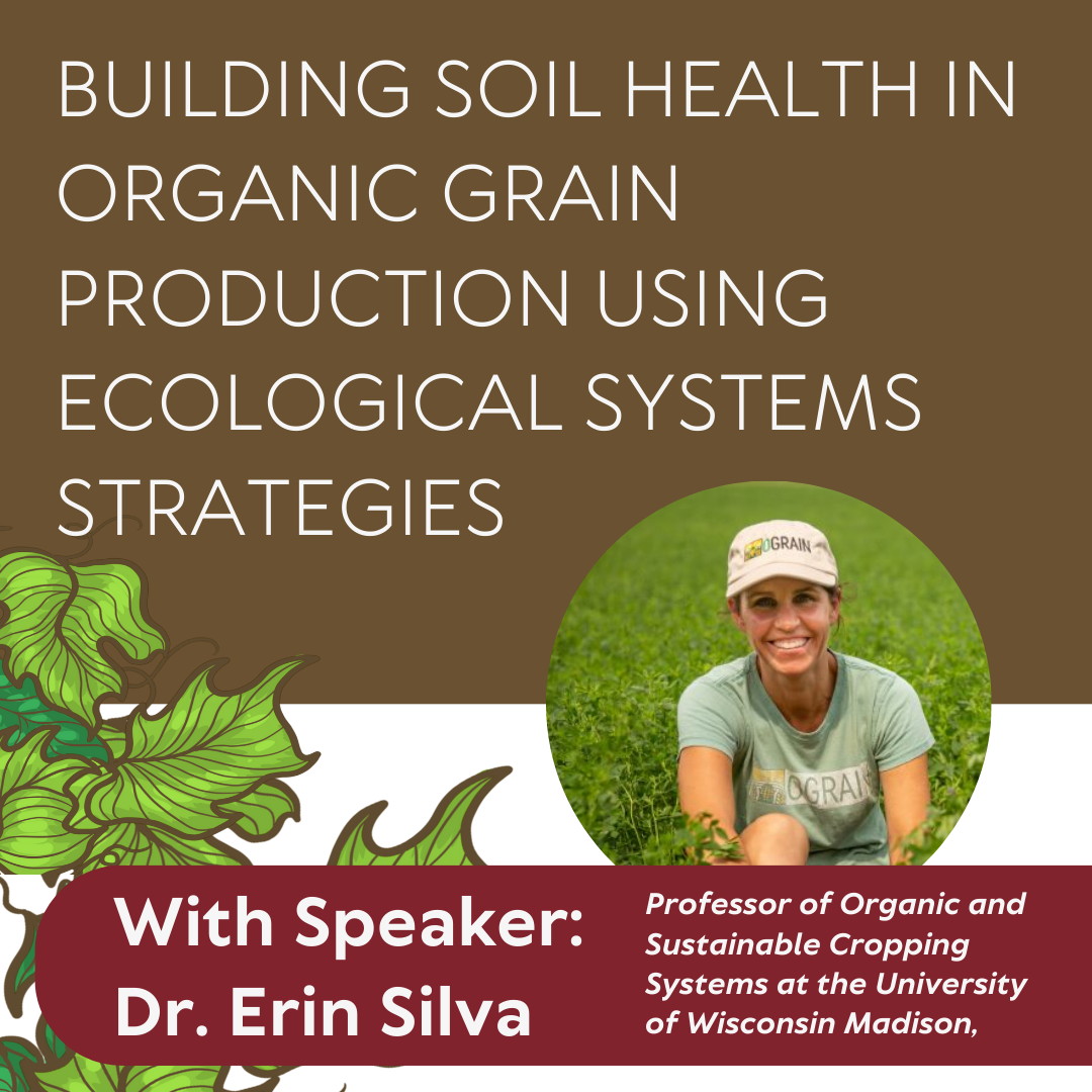 Building Soil Health in Organic Grain Production using Ecological Systems Strategies