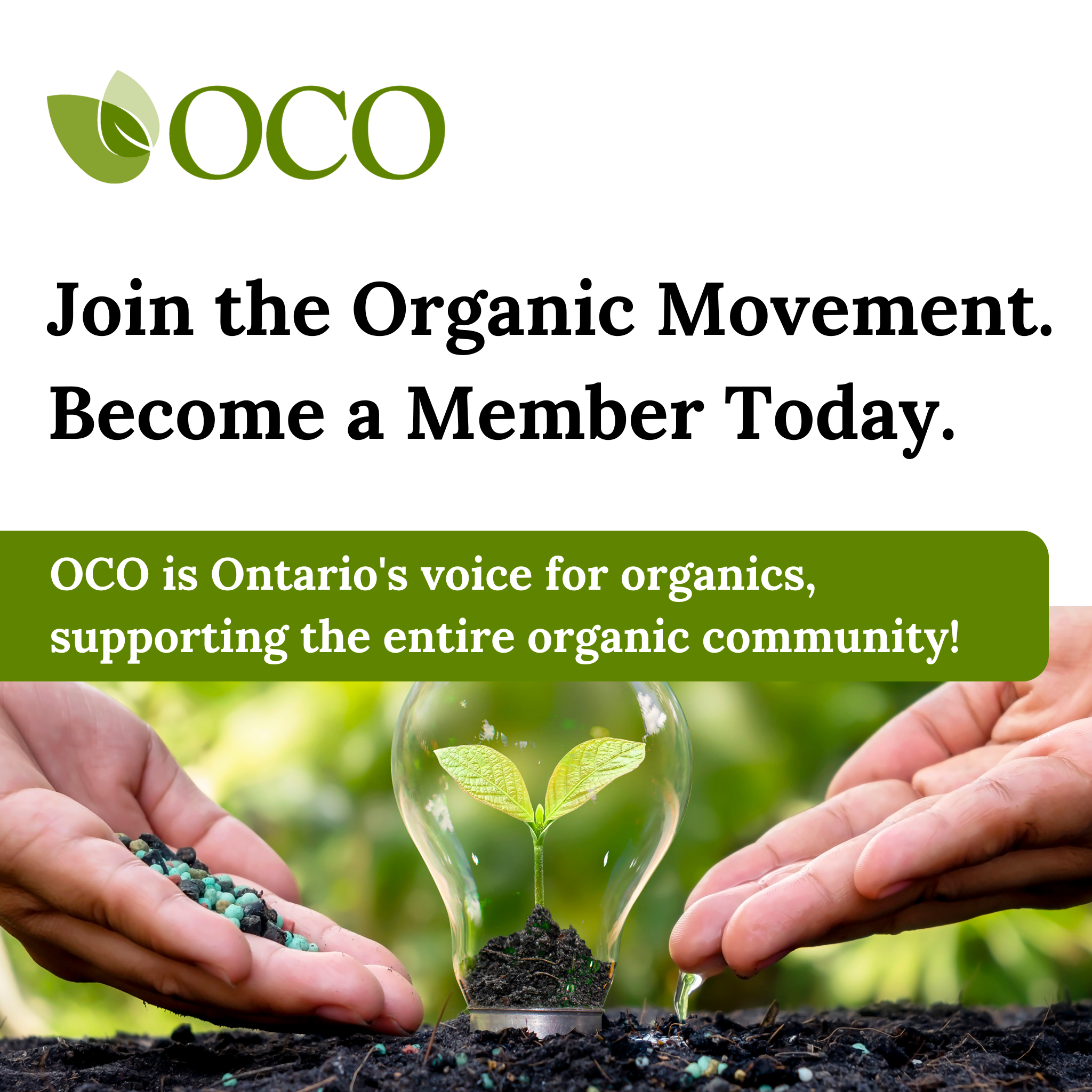 OCO Memberships