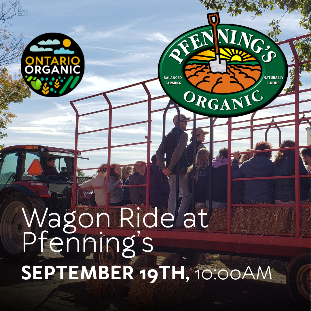 Wagon Ride at Pfenning's Organic Farm
