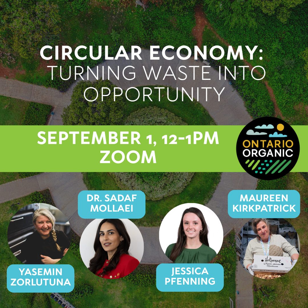 Circular Economy: Turning Waste into Opportunity