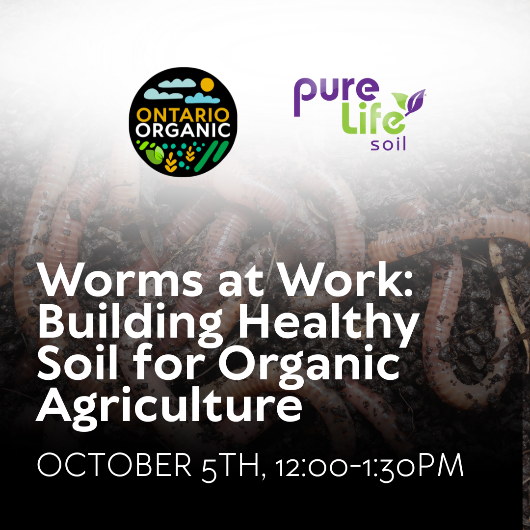 Worms at Work: Building Healthy Soil for Organic Agriculture