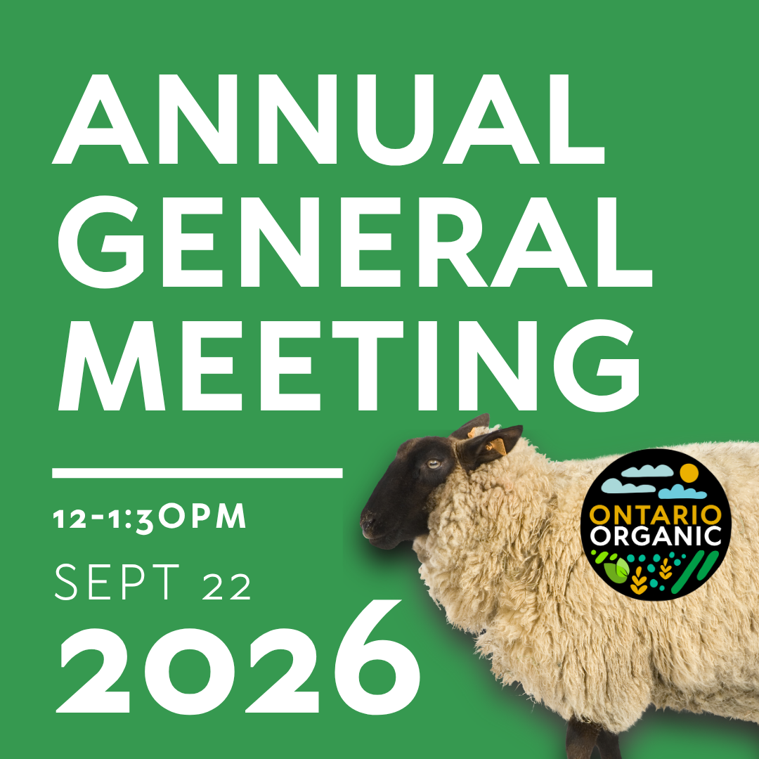 2026 Annual General Meeting