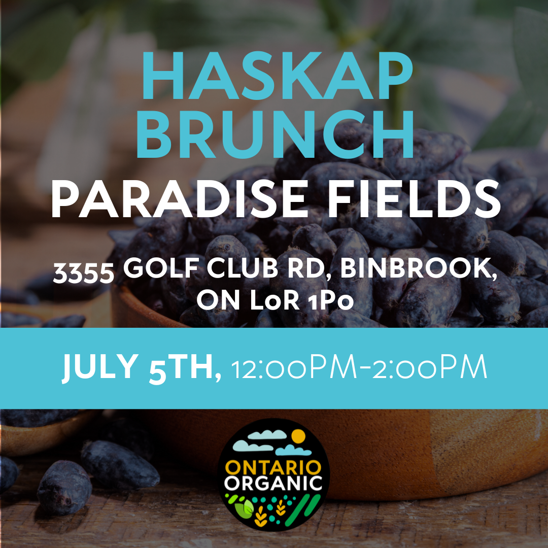 Paradise Fields Haskap Brunch
