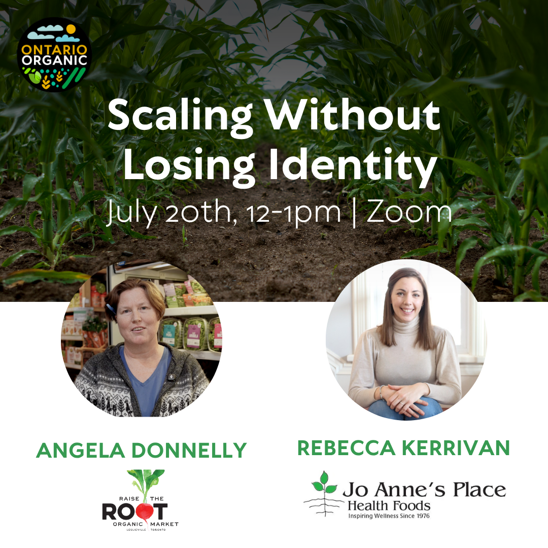 Organic Shelf Series: Scaling Without Losing Identity