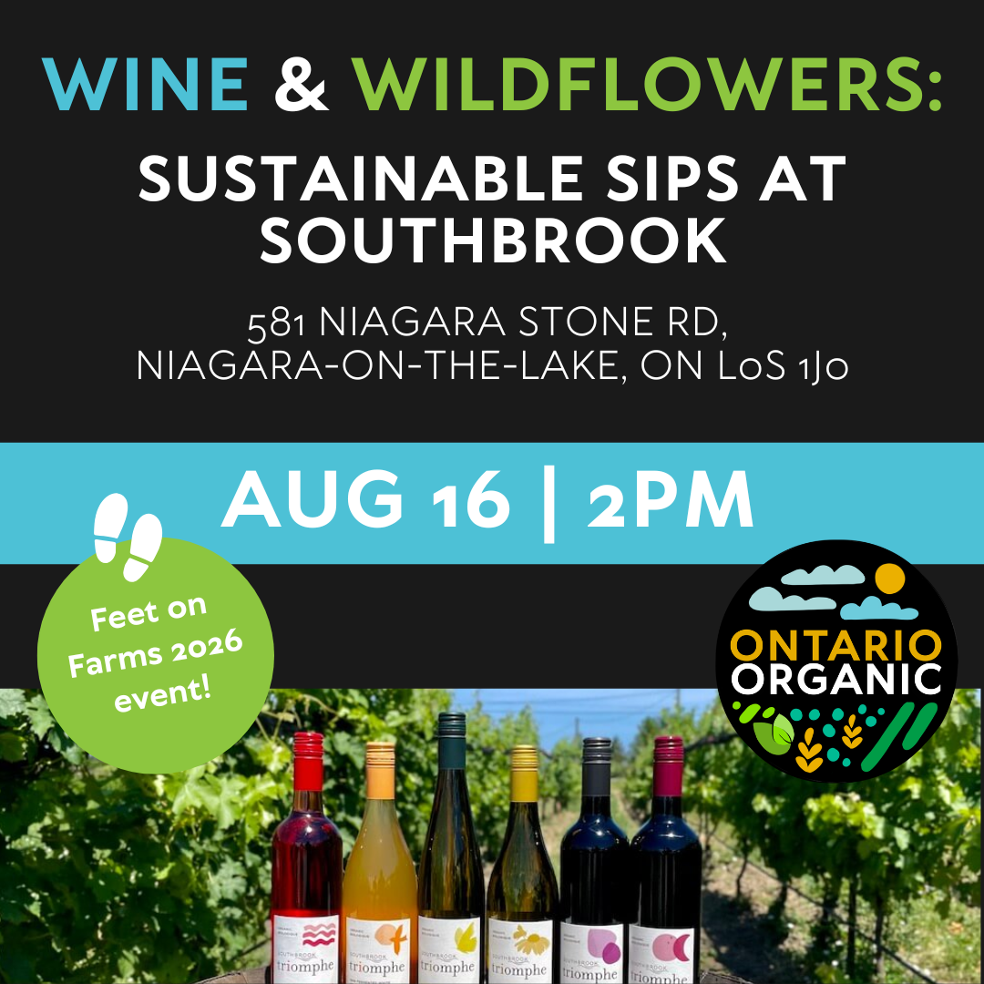 Wine & Wildflowers: Sustainable Sips at Southbrook Vineyards