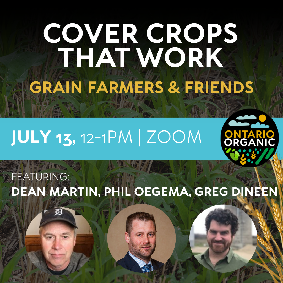 Grain Farmers & Friends Cover Crops That Work