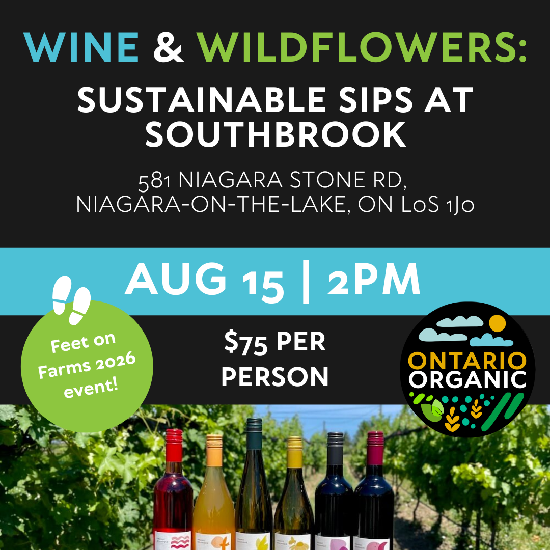 Wine & Wildflowers: Sustainable Sips at Southbrook Vineyards