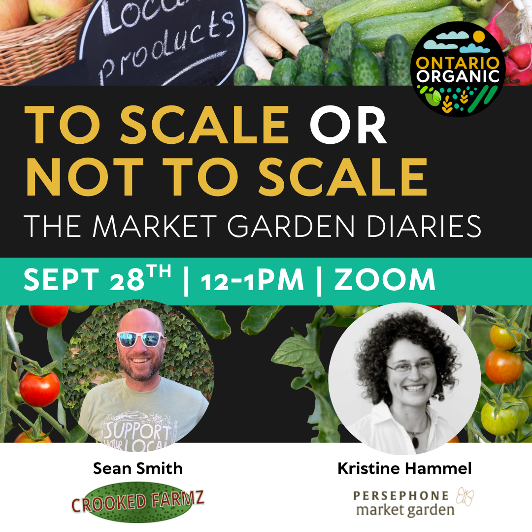 Market Garden Diaries: To Scale or Not To Scale